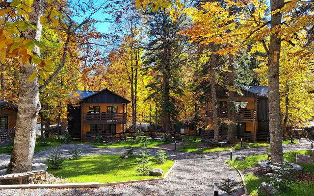 Arkhyz Family Club Apart-Hotel