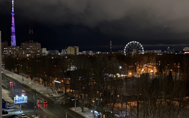 Квартира уютная с видом на парк Гагарина