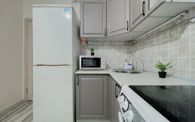 Green FOX Na Ulice Savushkina 6E Apartments