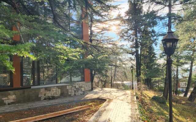 Отель Жемчужина Кавказа