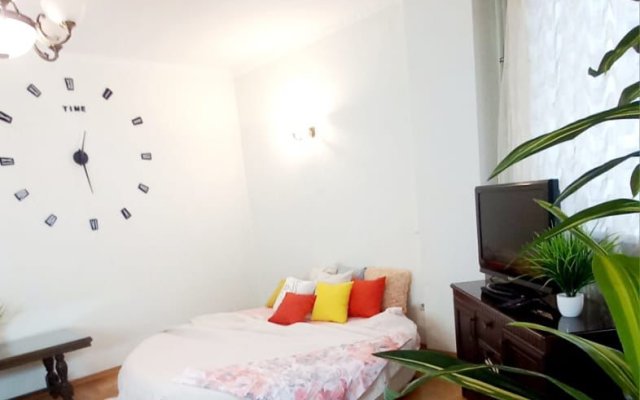Smile Apartments 3kh Komnatnye S Vidom Na Naberezhnuyu Apartments