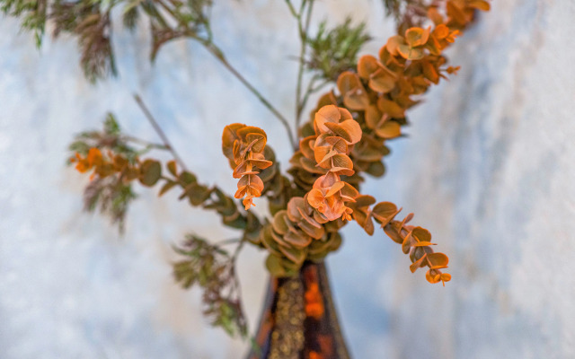 Апартаменты HB Tsinamdzghvrishvili