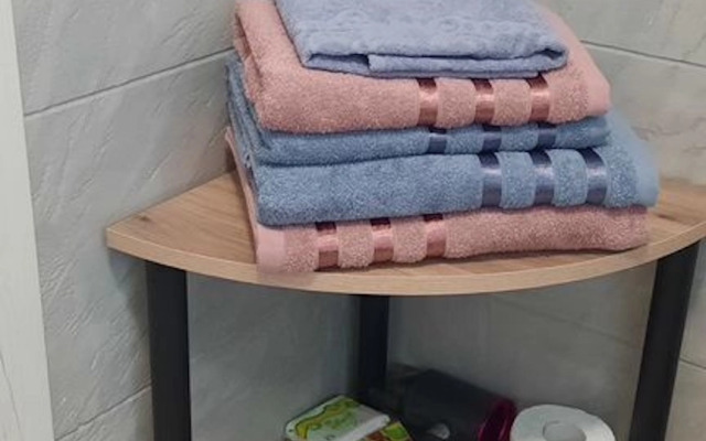 Квартира на Притомском проспекте 25