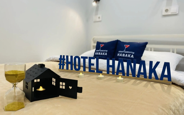 Апартаменты Hanaka на Автозаводской 17к1 №22