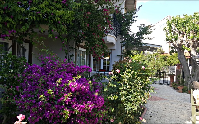 Palme Royal Hotel