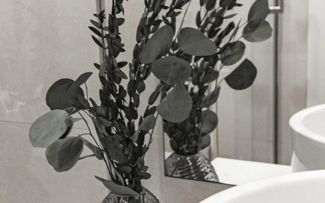 Travertin Siesta Apartments