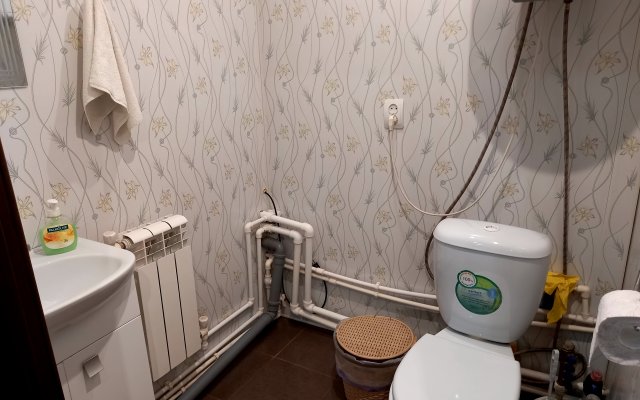 Дом у сосен