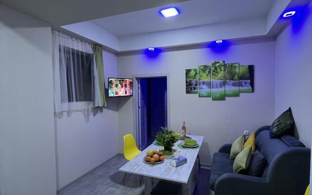 Comfort With Green Refreshing Interior Apartments