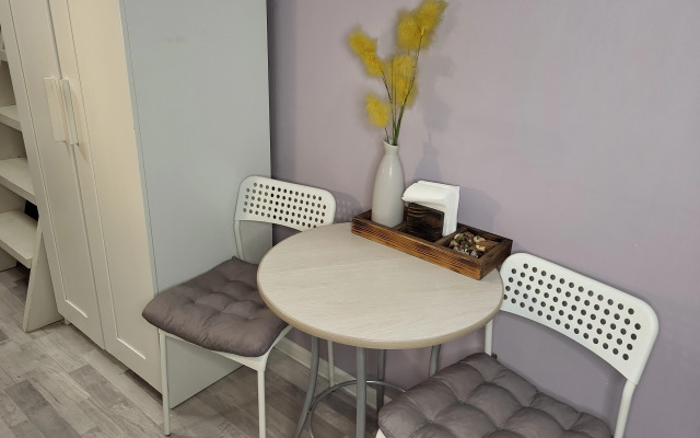 Studiya v Tsentre na Fontanke dlya Troikh Flat