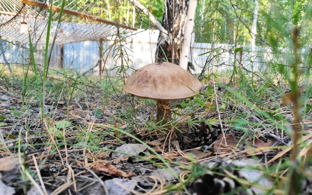 Вилла Тропик Увильды