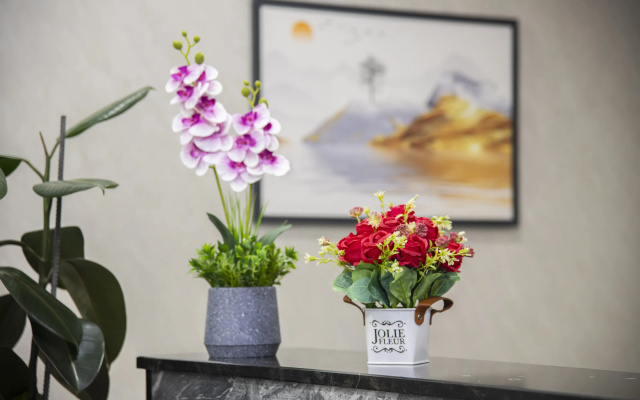 Art Home