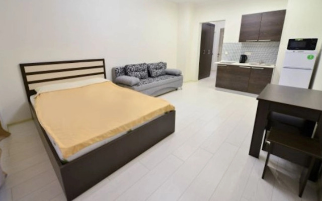 Квартира на Пионерской улице 1