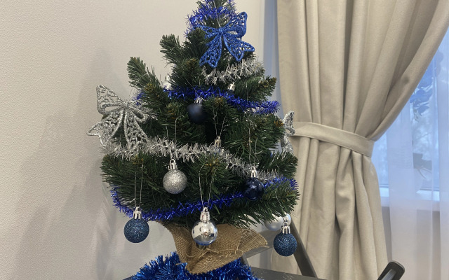 Апартаменты на Родионова Элегия