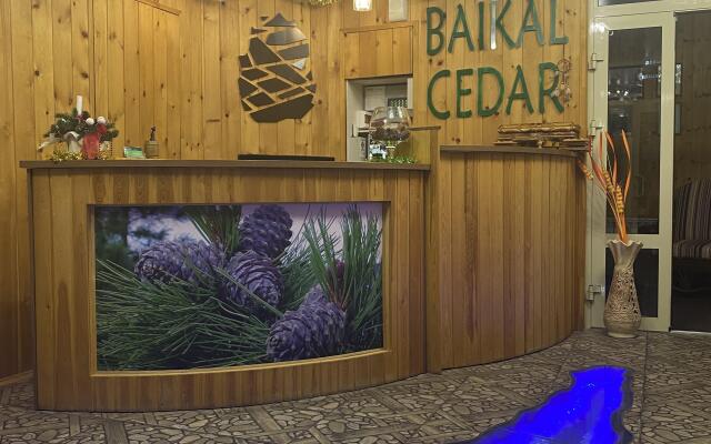 Baikal Cedar