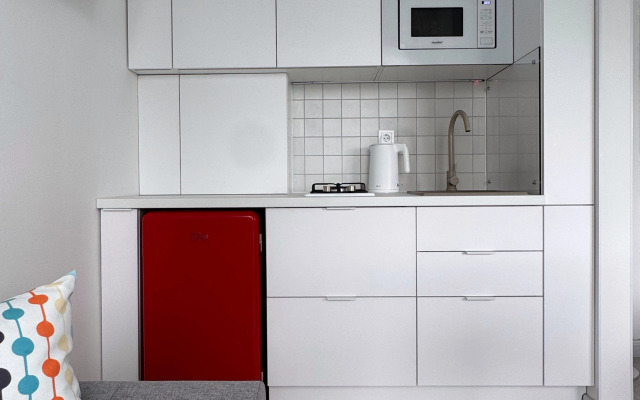 Dizaynerskaya studiya na Shevtsovoy 49A Flat