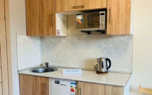 Svetlaya studiya Flat