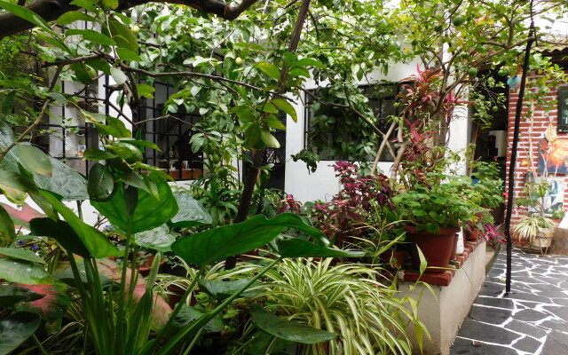 Отель María Bonita by Rotamundos