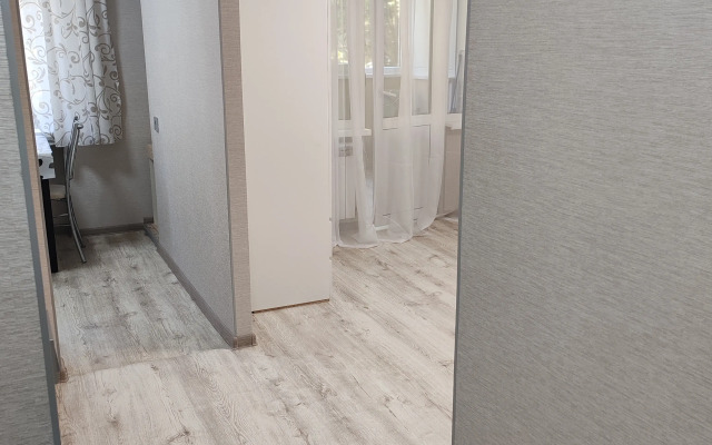 Uyutnaya odnokomnatnaya na Kuybysheva Flat