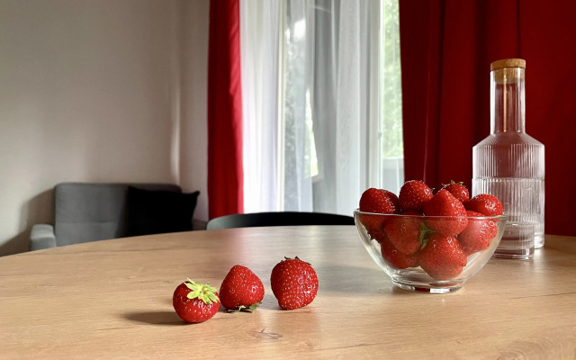 Apartmari Stilnaya Studiya V Tsentre Kaliningrada
