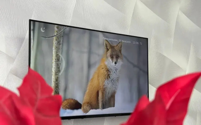 Kvartira Novaa na Sadovom