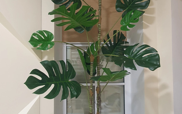 Апартаменты 1-комнатные с отдельным входом на 7 мест