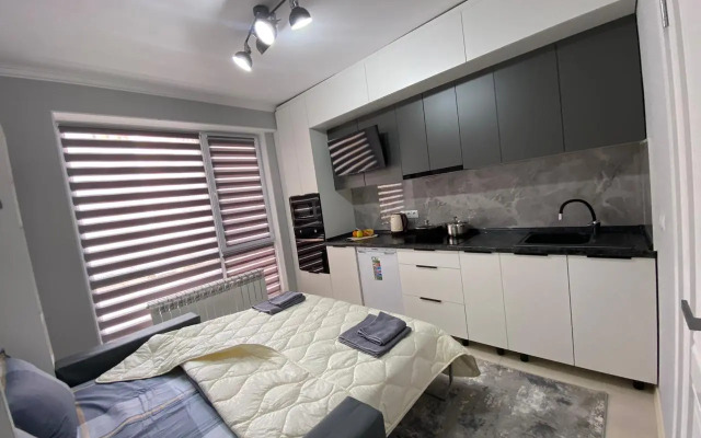 Teremki Ot Best House Almaty Apartments
