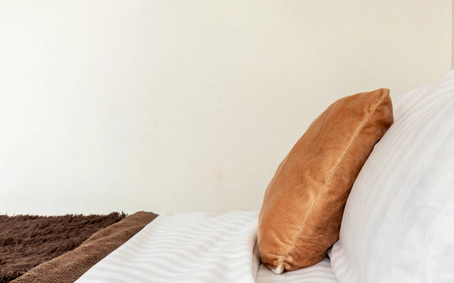 Апартаменты Маршала Мерецкого,20