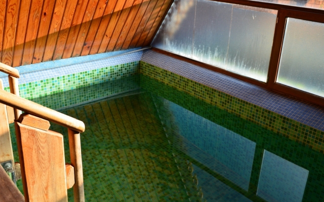 Medniy Vsadnyk Guest house