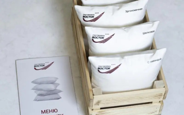 Гостиница Восток