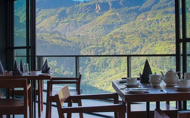 Oak Ray Tea Bush Ramboda Hotel
