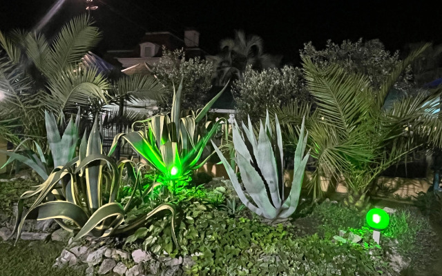 Orion Mini-hotel