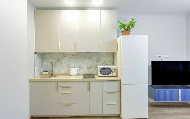 Апартаменты на Полковника Фесюна 20