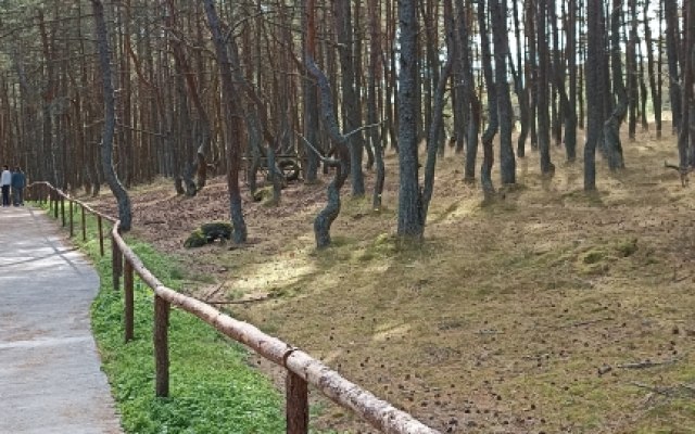 Апартаменты на Зои Космодемьянской 1