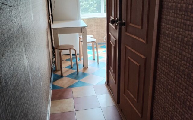 V Lyubertsakh Apartments