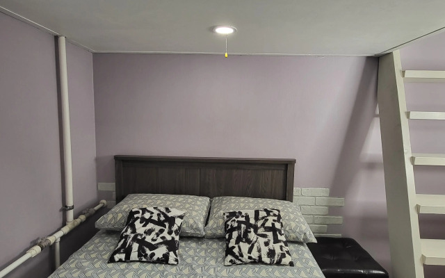 Studiya v Tsentre na Fontanke dlya Troikh Flat