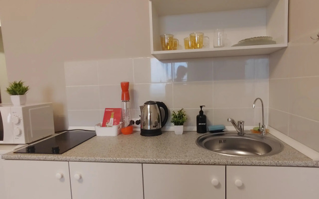 Studiya 20 M² Beloozerskiy Apartments