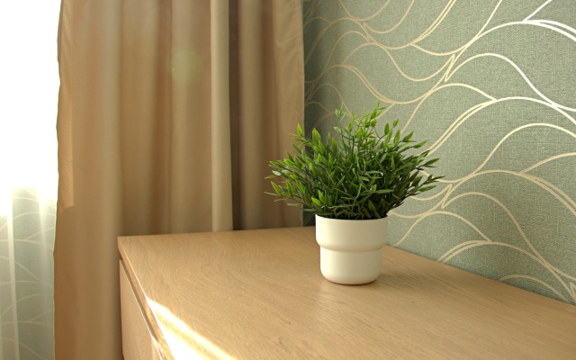 Апартаменты у Аквапарка Трехкомнатные в ЖК Зенит