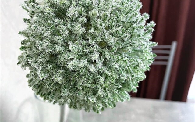 Апартаменты Прекрасная квартира