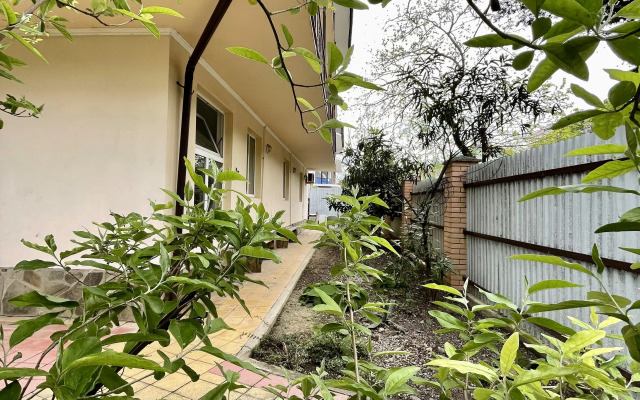 Zelenaya Dolina Guest House