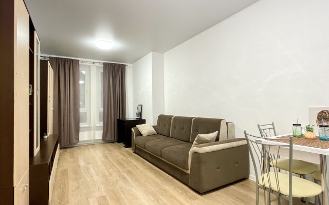 Sunny Days Apartment Sosnovaya