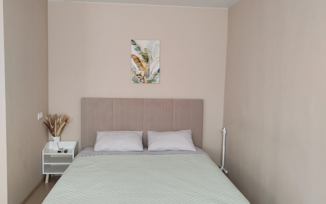 V Tsentre Kalugi  Studiyo Flat
