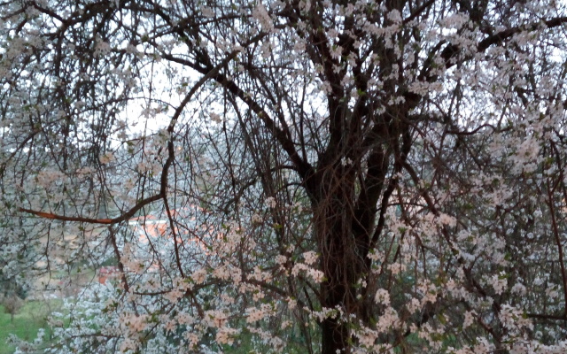 La Casetta di Varignana Apartments