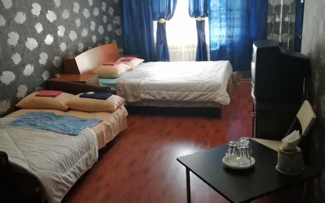 Vojkovskij Guest House