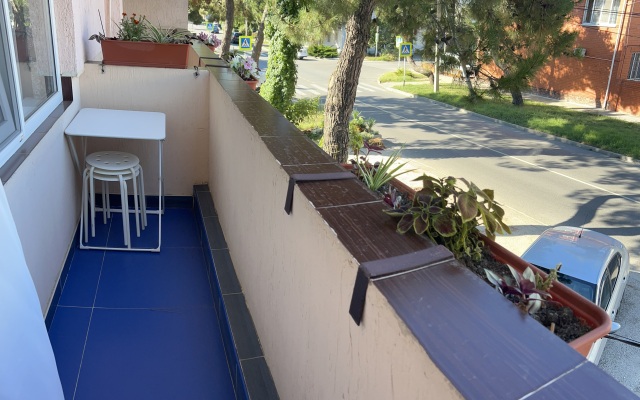 Na Vladimirskoy Guest house