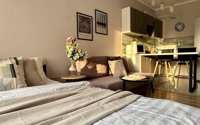 Studiya Merenga V Tsentre Goroda Flat