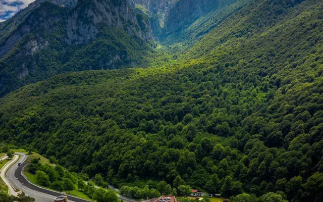 Отель Forrest Terrace