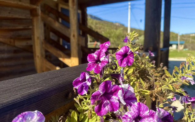 Thach from Travel Hotels Entourage