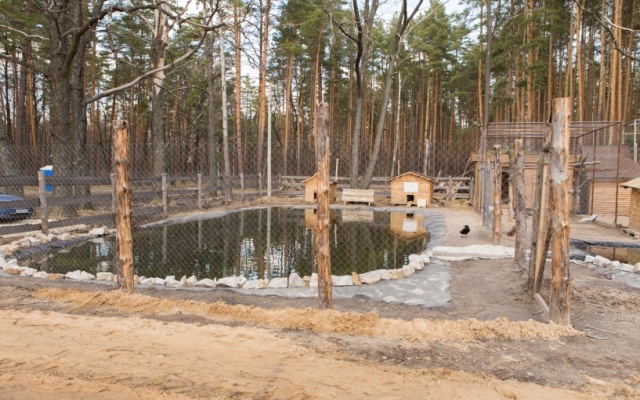 Berezka Park-Hotel Hotel