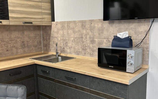 Studiya vozle Gornogo Vozdukha Flat