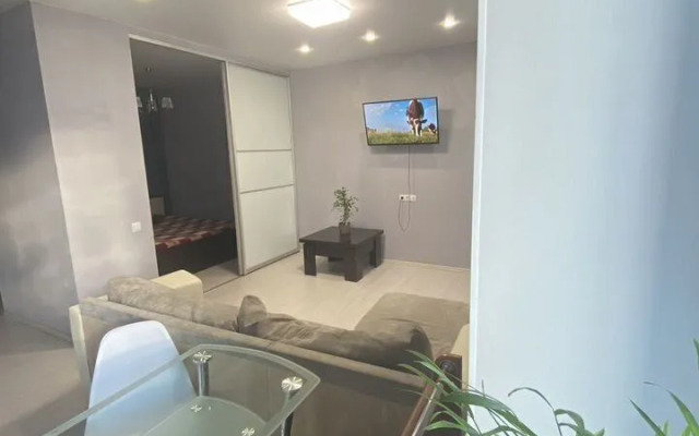 Квартира на Тентюковской 300